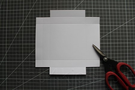 ���������-�������� �� �������